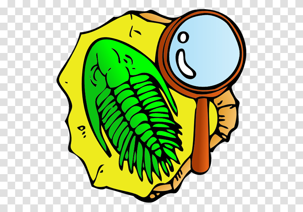 Shell Clipart Fish Fossil, Food, Rattle Transparent Png