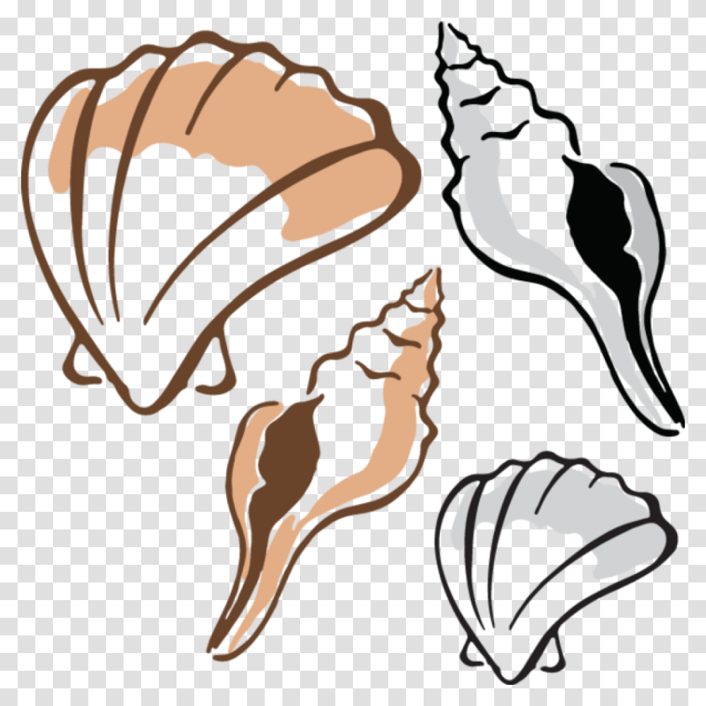 Shell Clipart Free Clipart Download, Animal, Skeleton Transparent Png