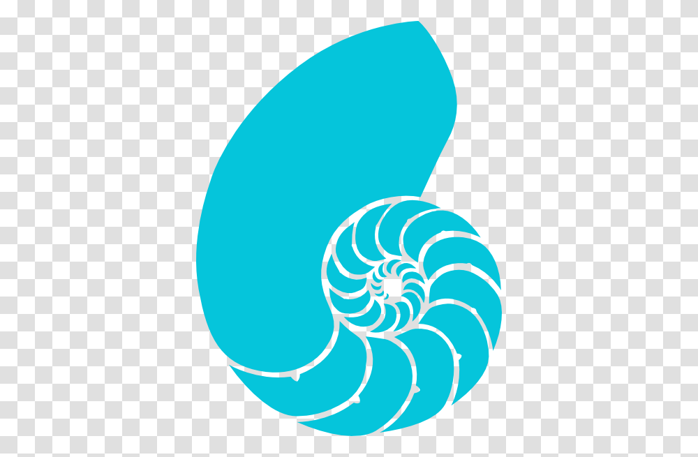 Shell Clipart Turquoise, Spiral, Coil Transparent Png