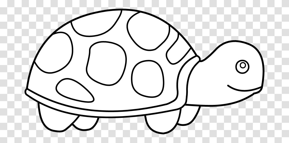 Shell Clipart Turtle, Egg, Food, Stencil, Helmet Transparent Png