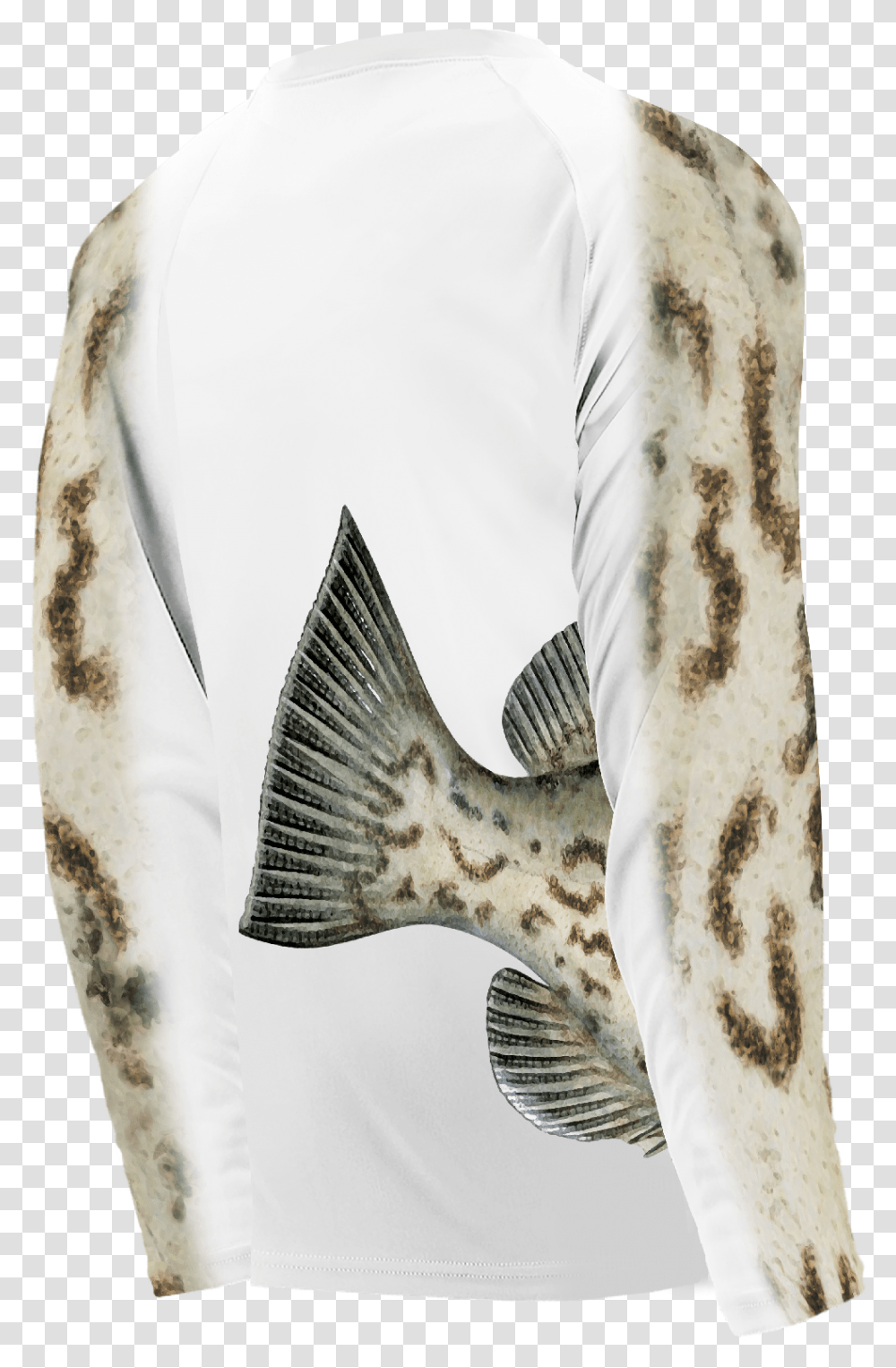 Shell, Fish, Animal, Bird, Perch Transparent Png