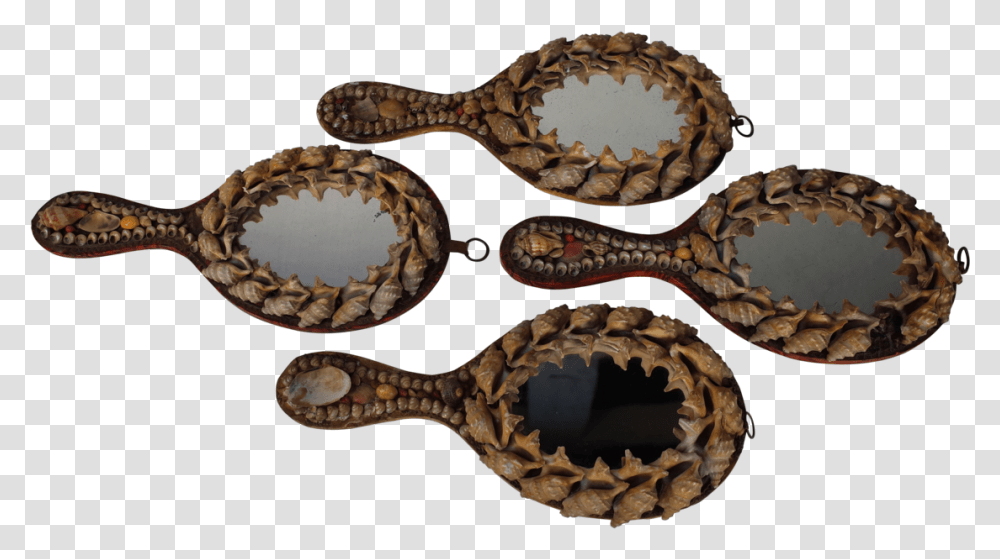 Shell Hand Mirrors Spoon, Snake, Plant, Bronze, Produce Transparent Png
