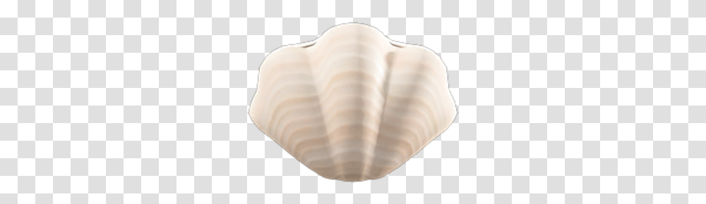 Shell Lamp Animal Crossing Wiki Fandom Animal Crossing New Horizons Shell, Clam, Seashell, Invertebrate, Sea Life Transparent Png