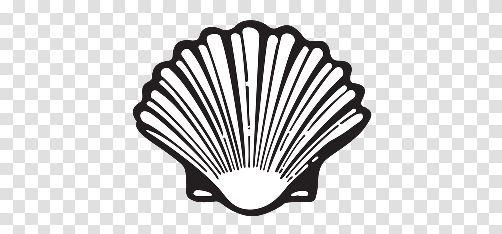 Shell Logo, Clam, Seashell, Invertebrate, Sea Life Transparent Png