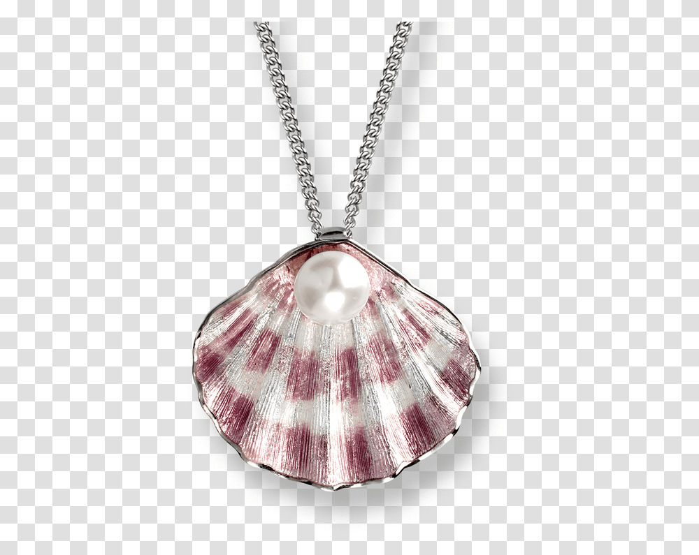 Shell Necklace Background Hd Pendant Enamel With Pearl, Sea Life, Animal, Invertebrate, Accessories Transparent Png