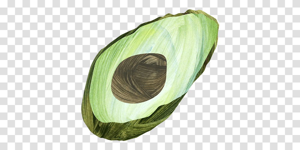 Shell, Plant, Vegetable, Food, Head Cabbage Transparent Png