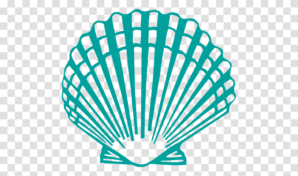 Shell, Seashell, Invertebrate, Sea Life, Animal Transparent Png