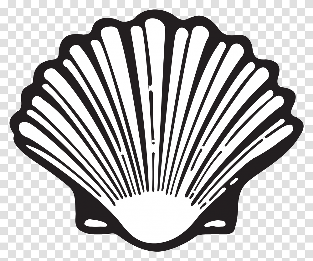 Shell Shell Logo Evolution, Clam, Seashell, Invertebrate, Sea Life Transparent Png