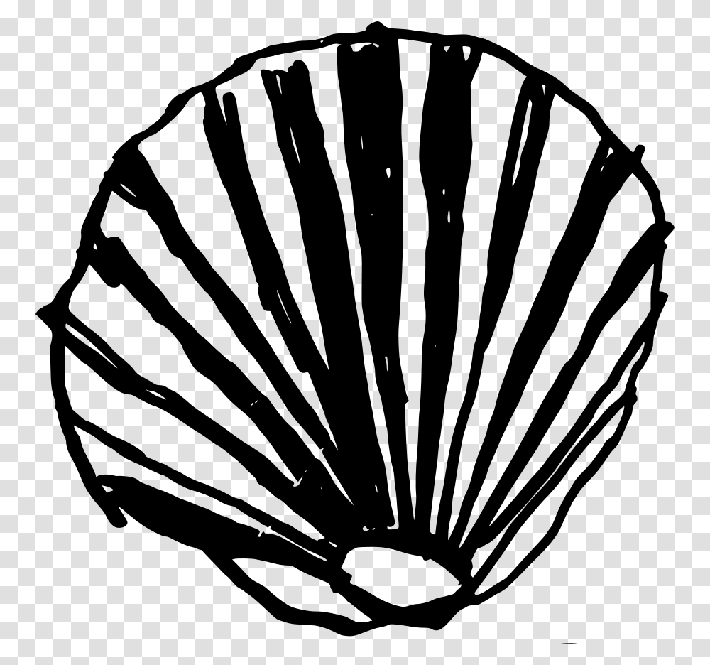 Shell Svg Clip Arts Conchas Vector, Gray, World Of Warcraft Transparent Png