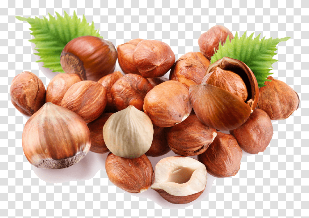 Shelled Hazelnut Download Hazelnut, Plant, Vegetable, Food, Fungus Transparent Png