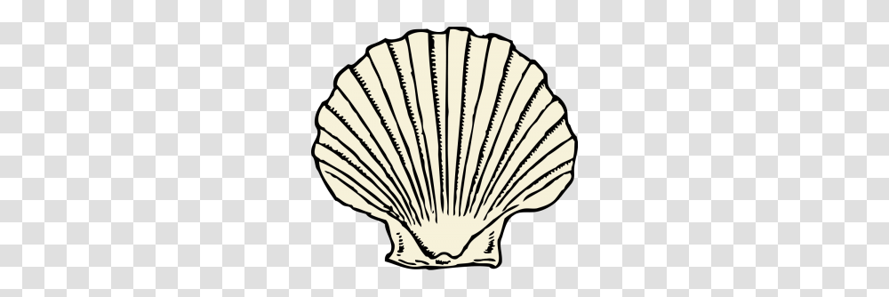 Shellfish Clip Art Download, Clam, Seashell, Invertebrate, Sea Life Transparent Png