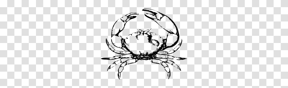 Shellfish Cliparts, Astronomy, Final Fantasy, Outer Space, Universe Transparent Png