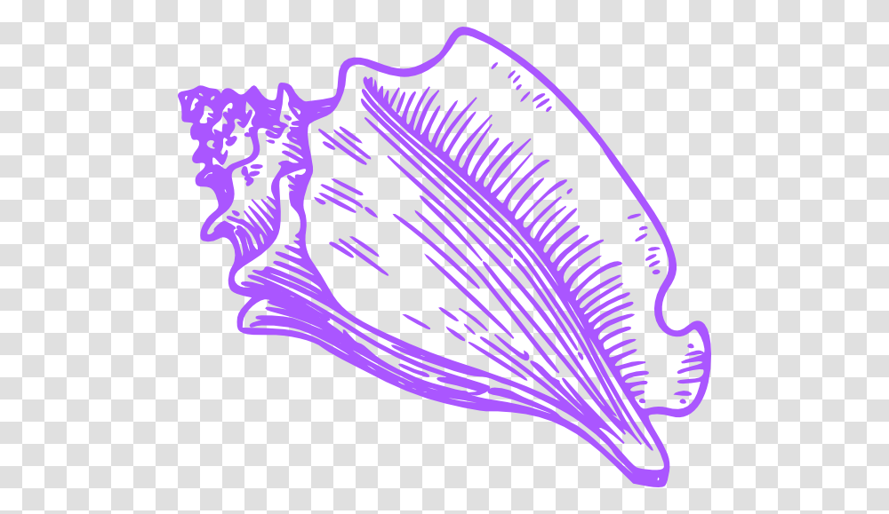 Shells Clipart Purple Clipart Conch Shell Cartoon Art, Sea Life, Animal, Clam, Seashell Transparent Png