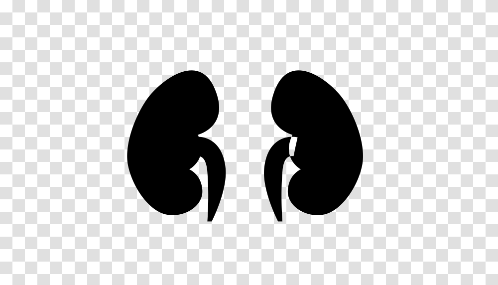 Shenzang Kidney Organ Icon With And Vector Format For Free, Gray, World Of Warcraft Transparent Png