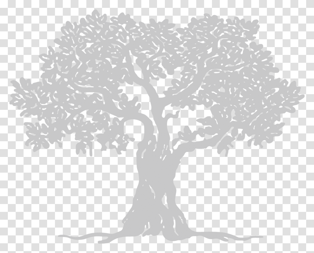 Shepherd Care Ministries, Tree, Plant, Oak, Rug Transparent Png
