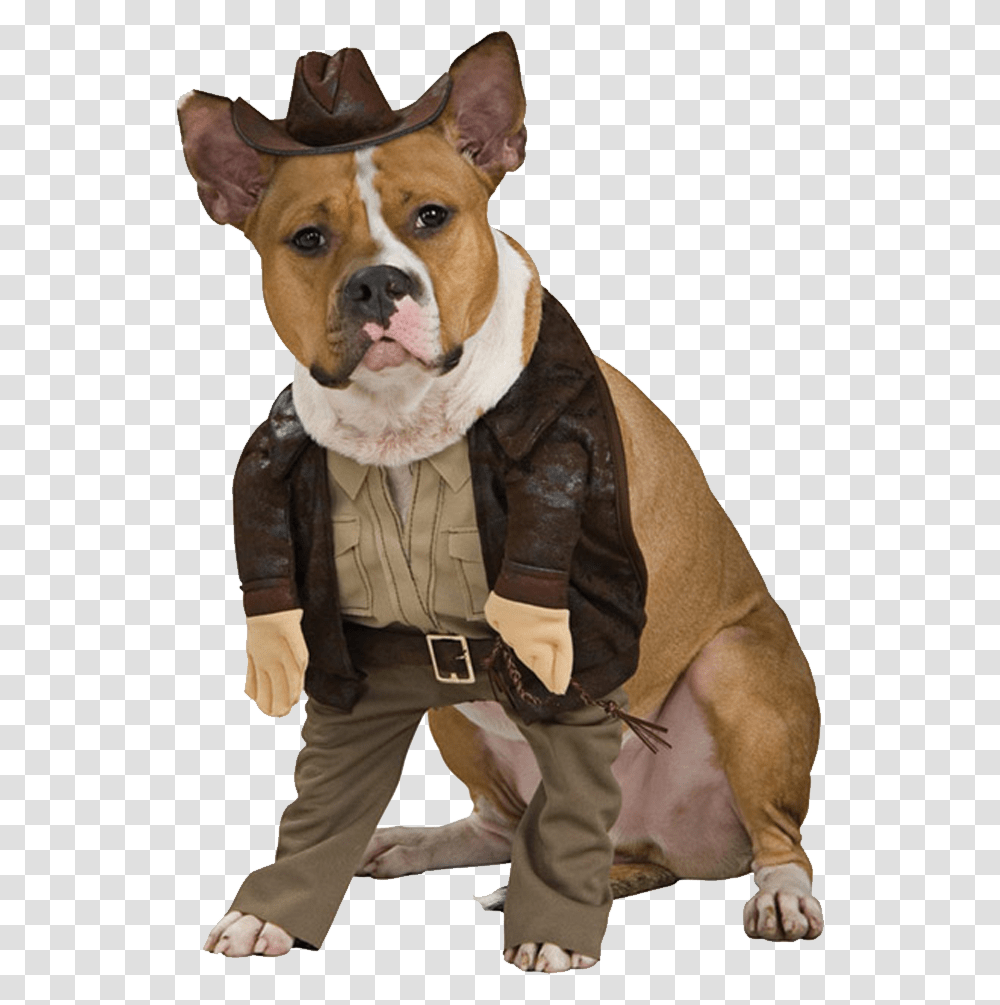 Sheriff Costume For Dog, Mammal, Animal, Canine, Bulldog Transparent Png