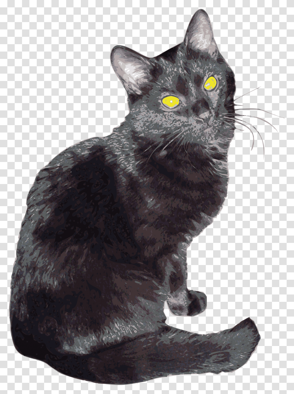 Sherlock Clip Arts American Shorthair, Cat, Pet, Mammal, Animal Transparent Png