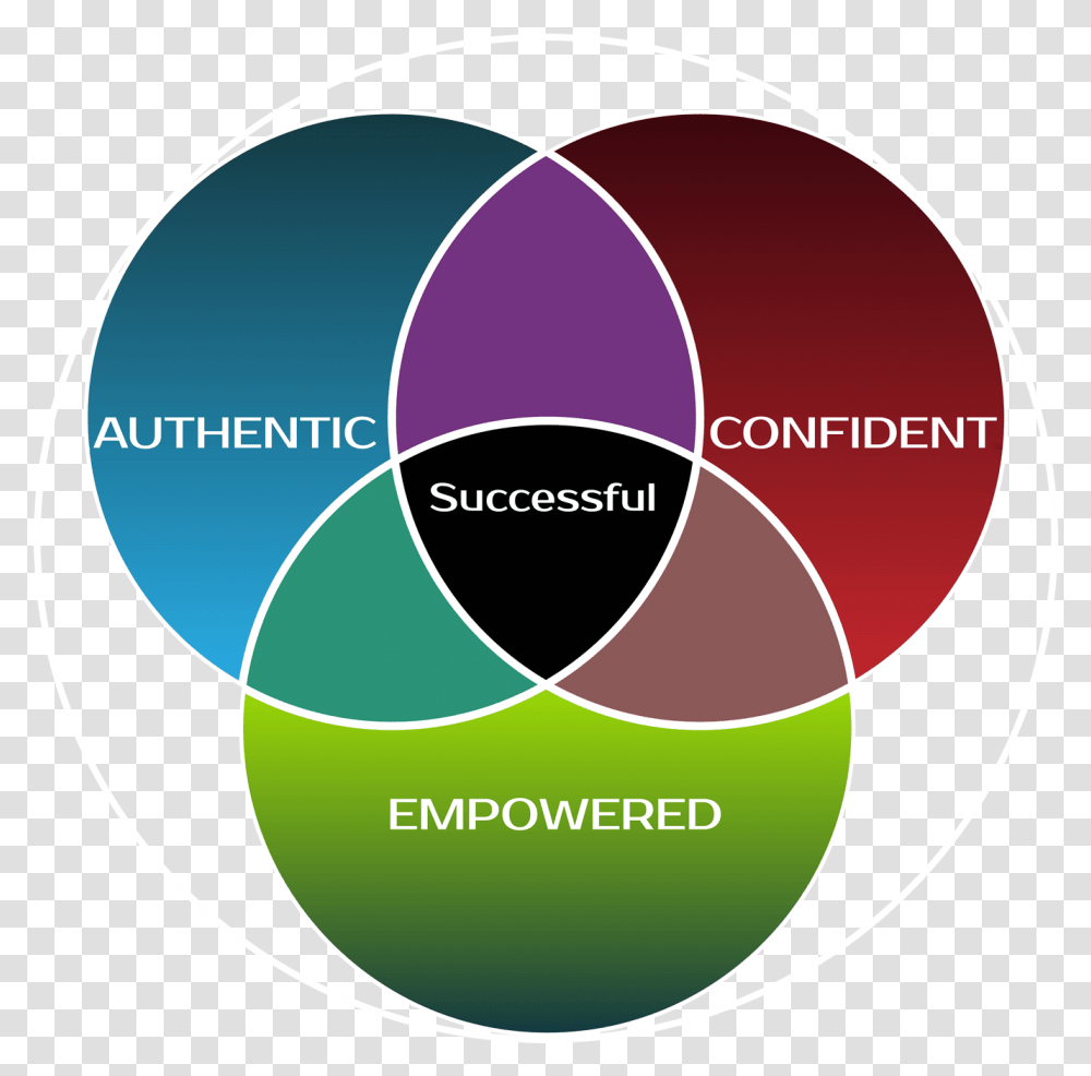 Sherrie Clark Courage To Be Seen Aces Successful Circle, Diagram Transparent Png