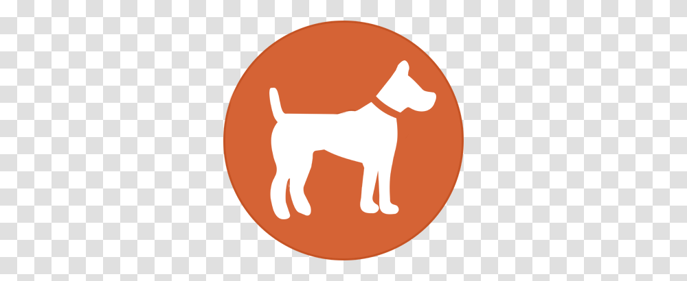Shiba Inu Puppies, Pet, Animal, Canine, Mammal Transparent Png
