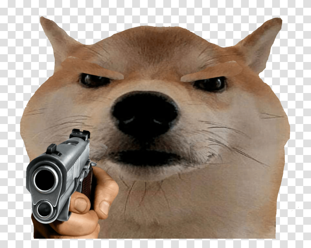 Shiba Inu Vertebrate Mammal Canidae Dog Head Snout Dog With Gun Meme, Camera, Electronics, Handgun, Weapon Transparent Png