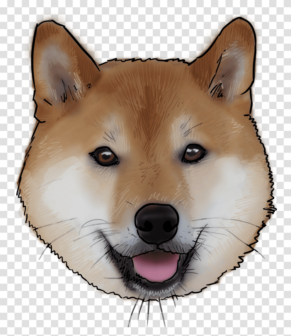 Shiba, Mammal, Animal, Wolf, Cat Transparent Png