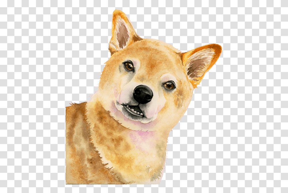Shiba Watercolor, Dog, Pet, Canine, Animal Transparent Png
