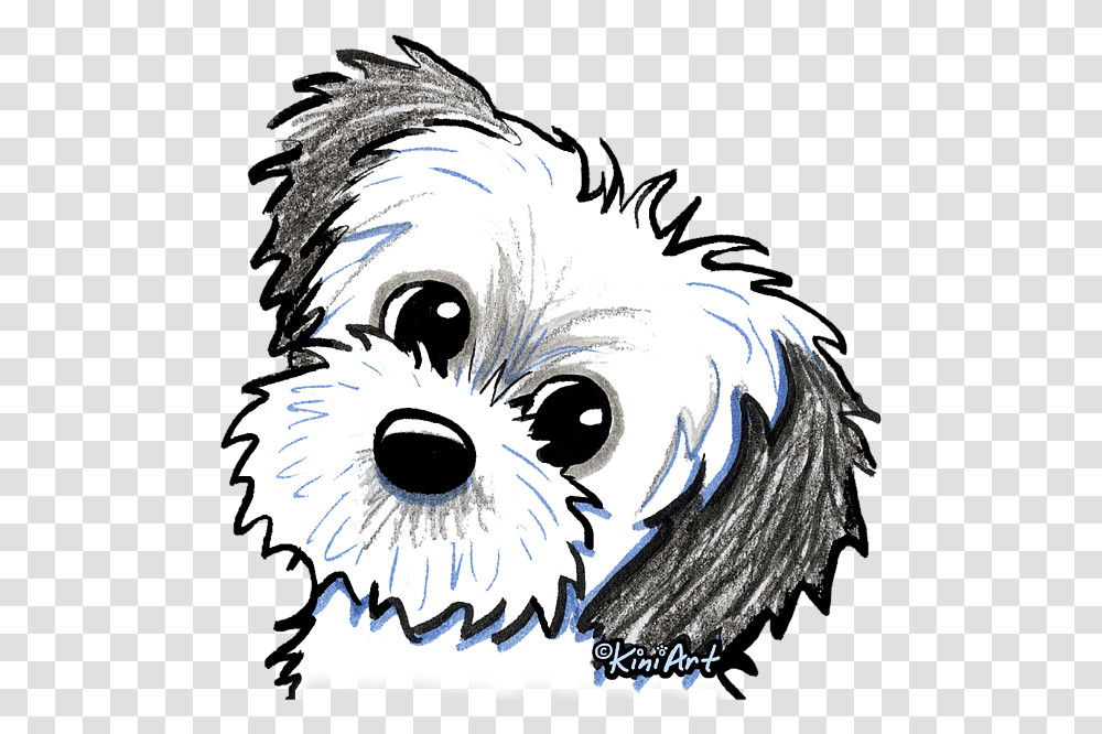 Shih Tzu Cartoon Shih Tzu, Terrier, Dog, Pet, Canine Transparent Png