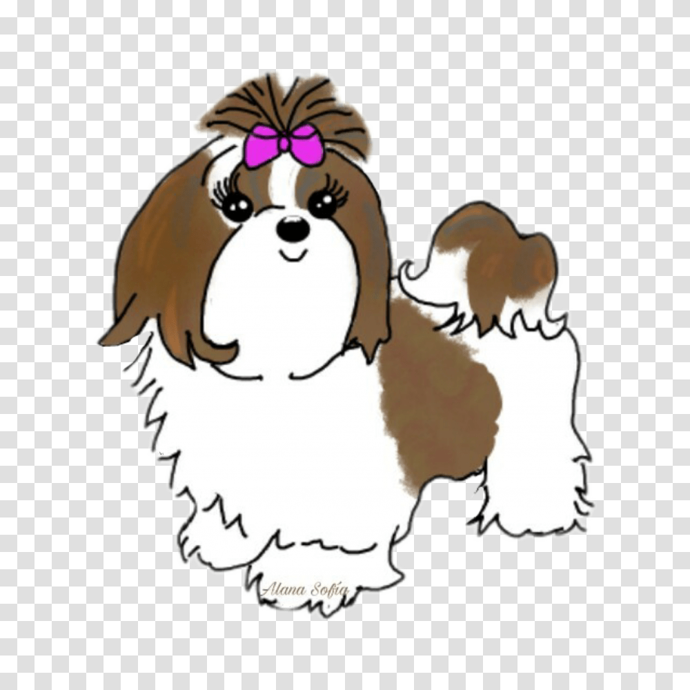 Рисунок собака шитцу для детей
