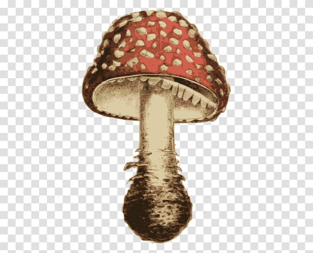 Shiitake Mushroom Agaric, Apparel, Plant, Fungus Transparent Png