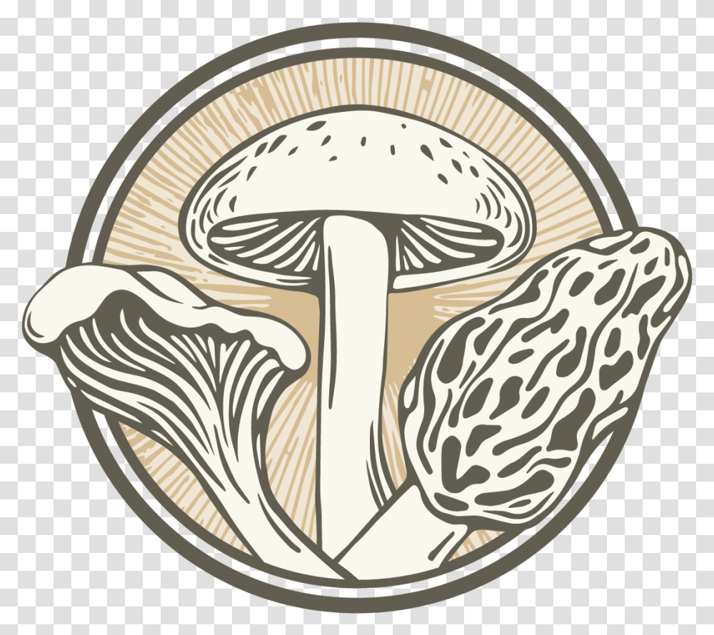 Shiitake, Plant, Agaric, Mushroom, Fungus Transparent Png