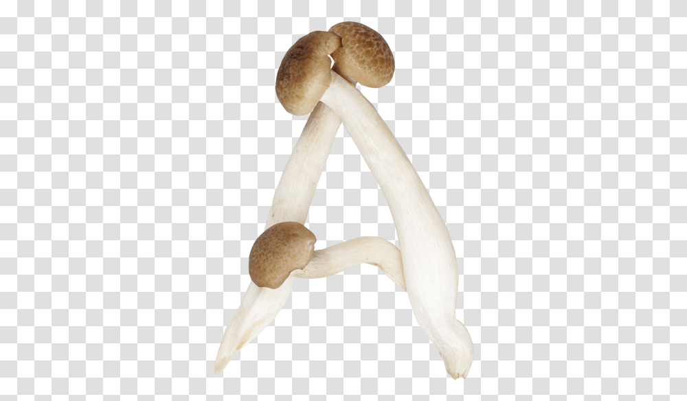 Shimeji Mushroom Font A Mushrooms Shaped Like Letters, Plant, Bird, Animal, Agaric Transparent Png