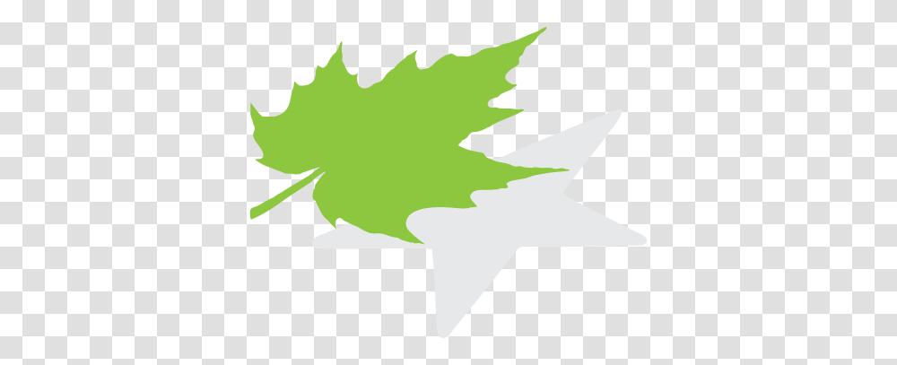 Shine A Greater Light, Leaf, Plant, Tree, Poster Transparent Png