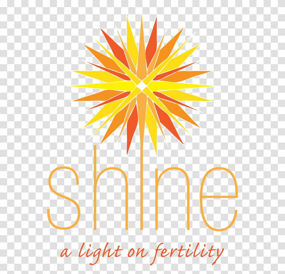 Shine Fertility, Flare, Light Transparent Png