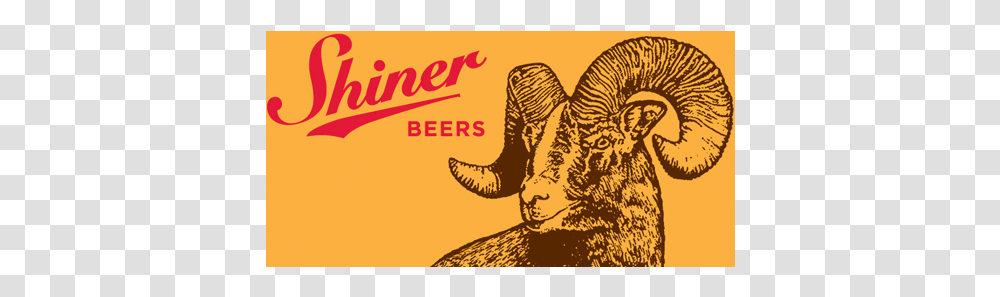 Shiner Beer, Mammal, Animal, Wildlife, Photography Transparent Png