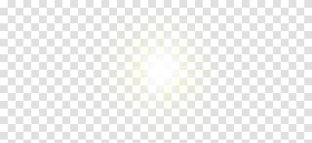 Shining Light Picture Bright Light Psd, Lamp, Plant, Lighting, Sunlight Transparent Png