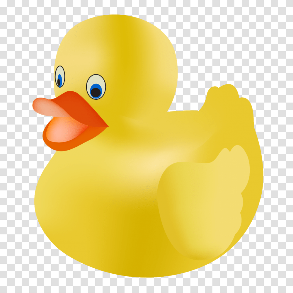 Shining Rubber Duckie Clipart Duck Image Free Download Clip Art, Poultry, Fowl, Bird, Animal Transparent Png