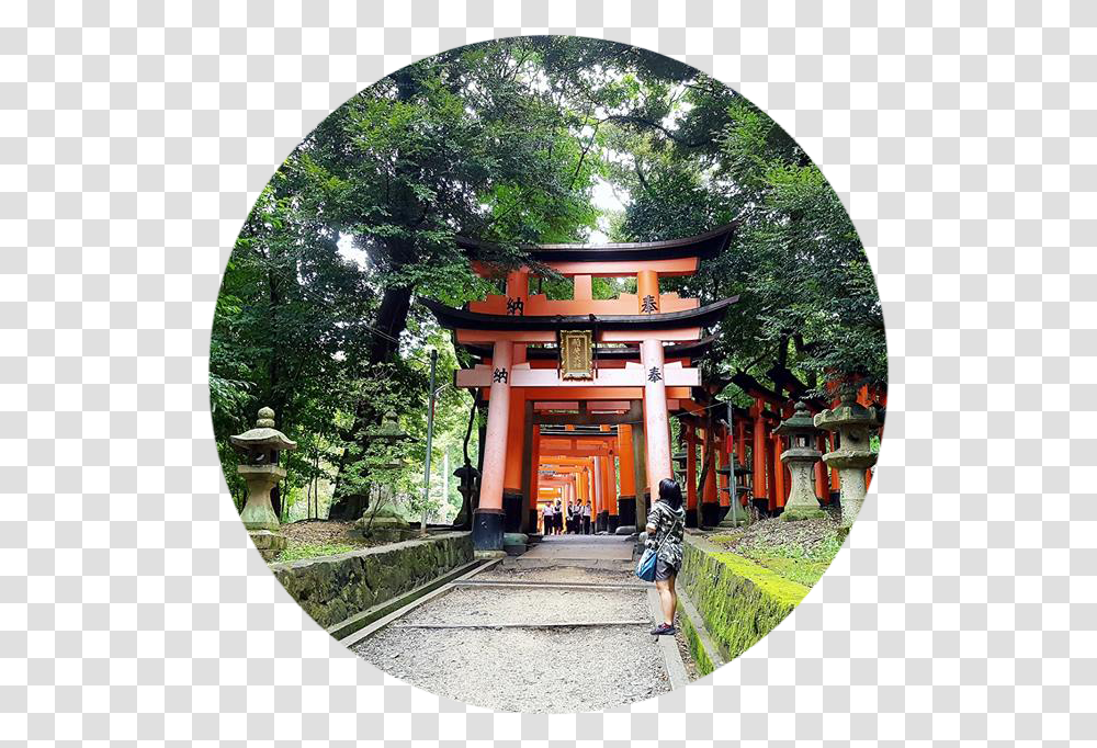 Shinto Shrine, Person, Fisheye, Gate, Torii Transparent Png