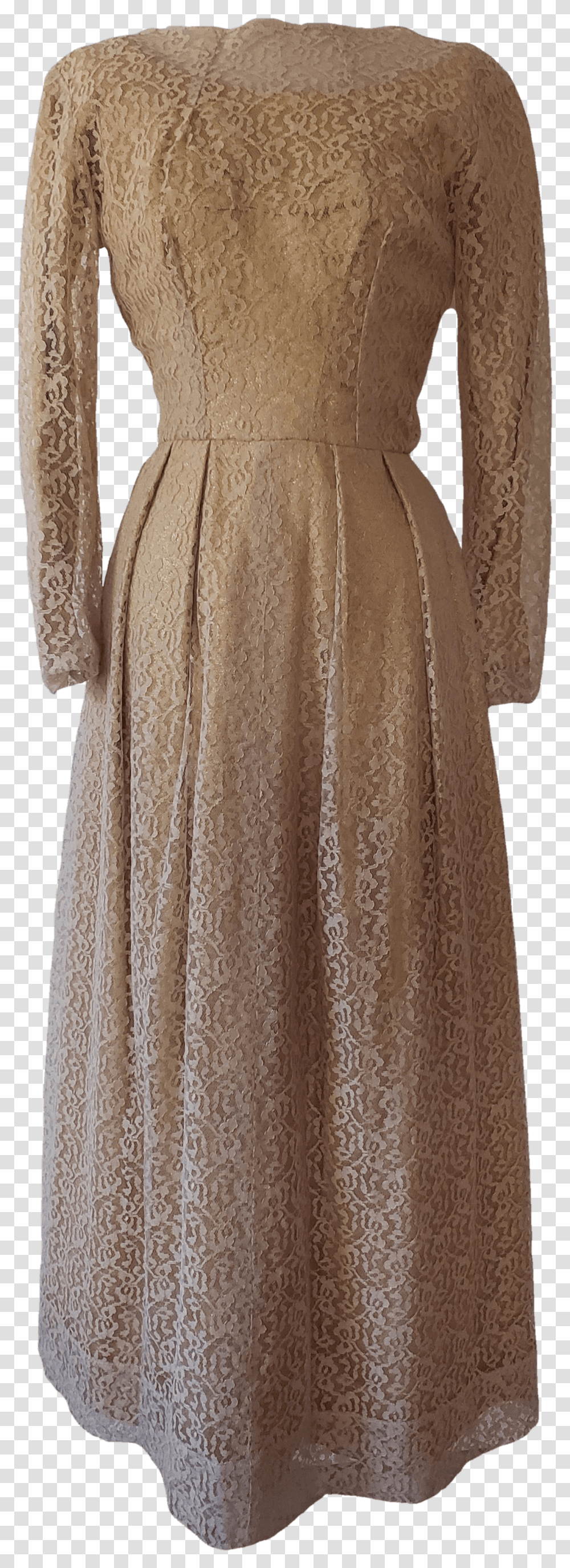 Shiny Gold Dress With Tan Lace Overlay Full Length, Clothing, Apparel, Sleeve, Long Sleeve Transparent Png