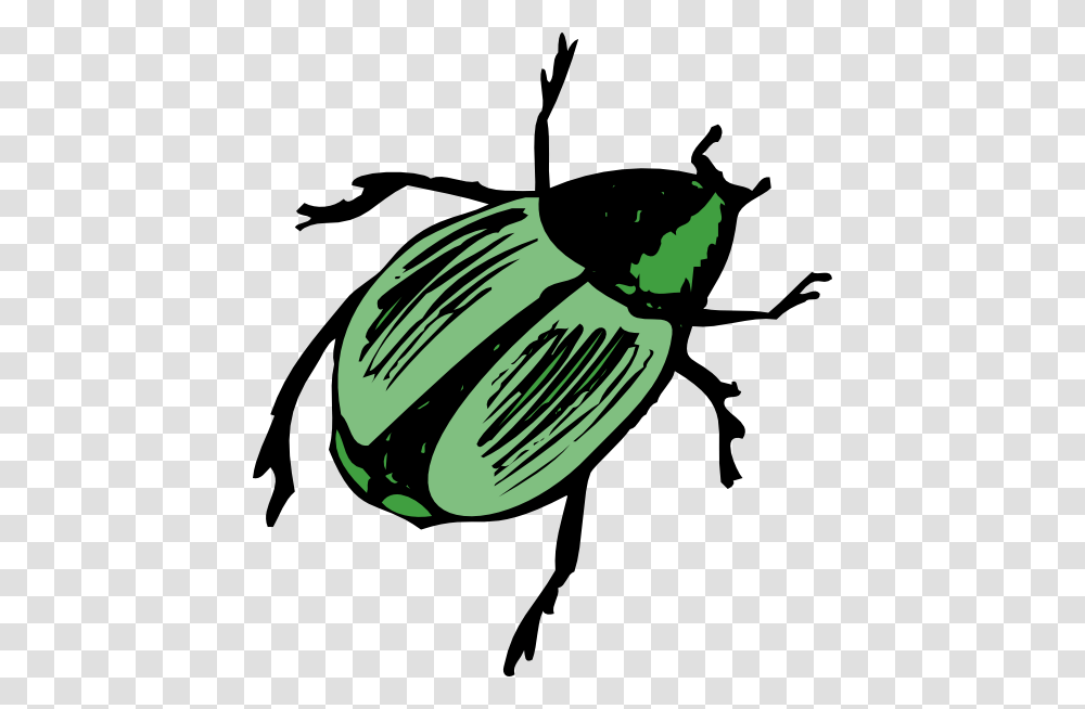 Shiny Green Beetle Clip Art, Insect, Invertebrate, Animal, Aphid Transparent Png