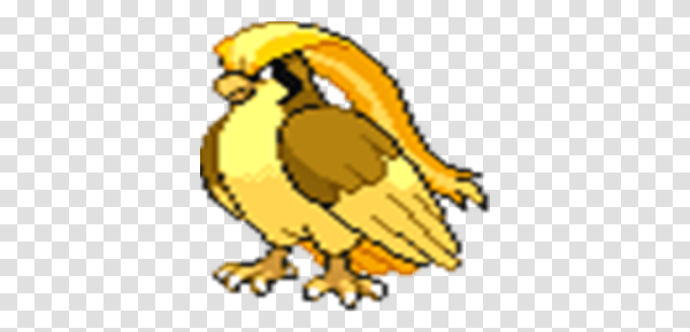 Shiny Pidgeot Front Roblox, Animal, Bird, Construction Crane, Eagle Transparent Png