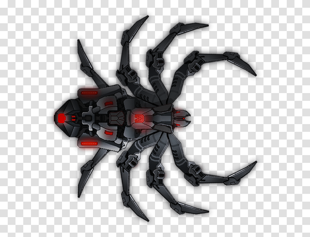 Shipae Spider Black Widow Black Widow Spider Transparent Png