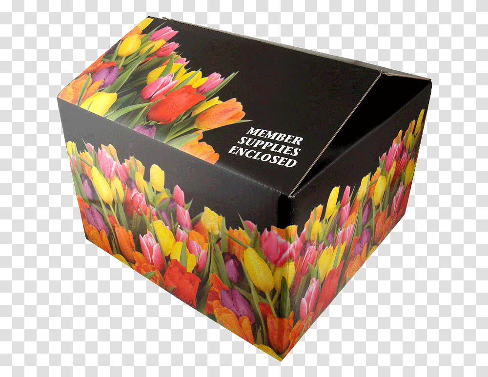 Shipping Box Full Color Shipping Box, Cardboard, Carton, Label Transparent Png