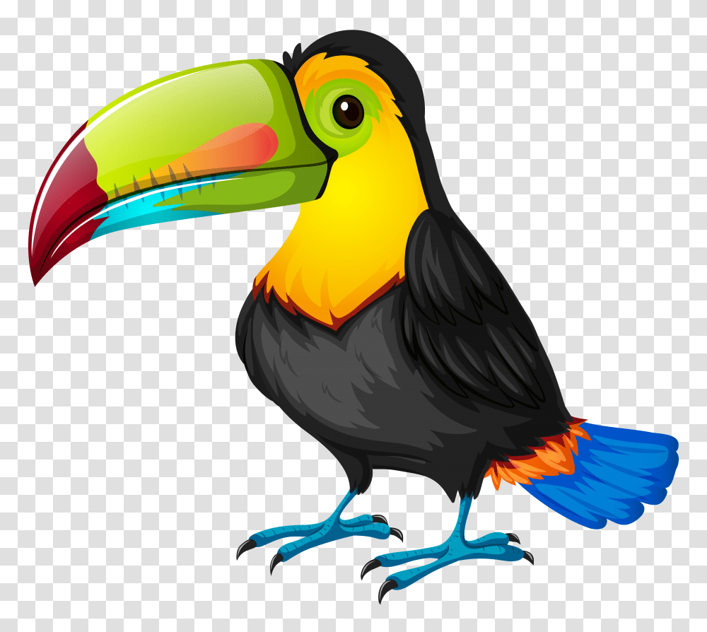 Shipwrecked Vbs Logo, Bird, Animal, Toucan, Beak Transparent Png