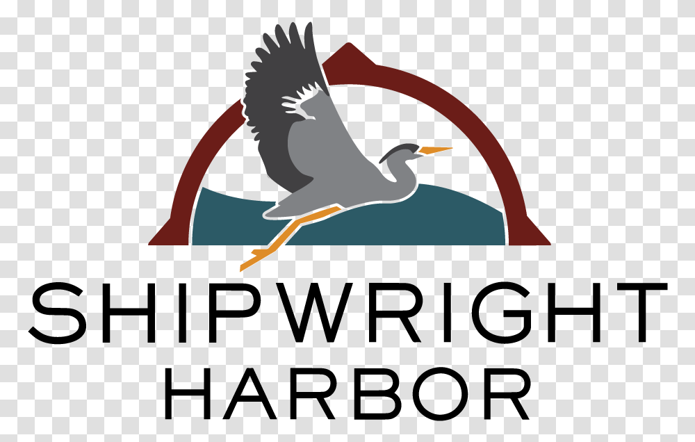 Shipwright Harbor Marina Water Bird, Stork, Animal, Waterfowl, Heron Transparent Png
