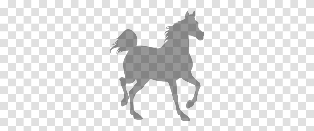 Shire Horse Black Royalty Free Clip Art Horse Silhouette White, Mammal, Animal, Person, Human Transparent Png