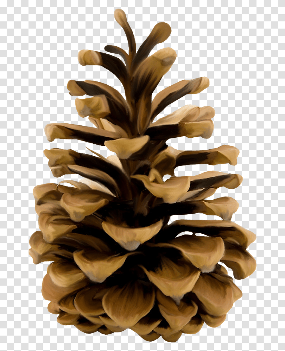 Shishka, Plant, Tree, Wood, Fungus Transparent Png