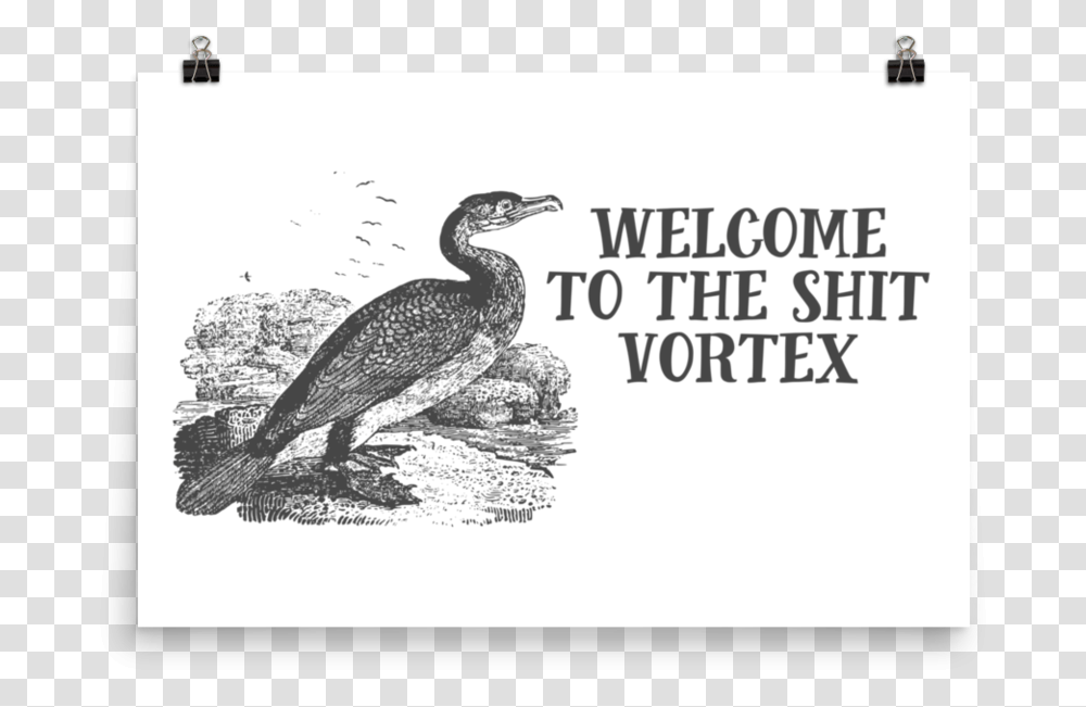 Shit VortexSrcset Data Effin Birds Welcome To The Shit Vortex, Animal, Waterfowl, Cormorant, Beak Transparent Png