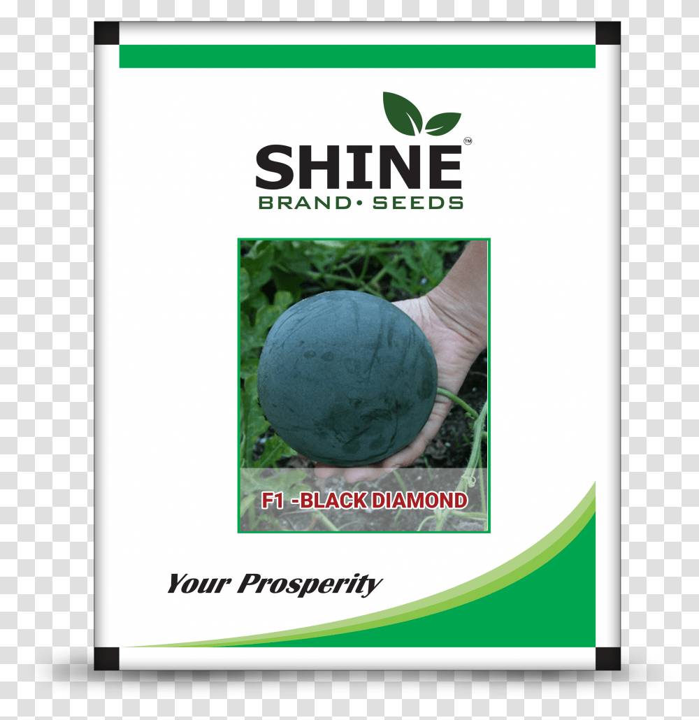 Shlne, Sphere, Advertisement, Poster, Plant Transparent Png