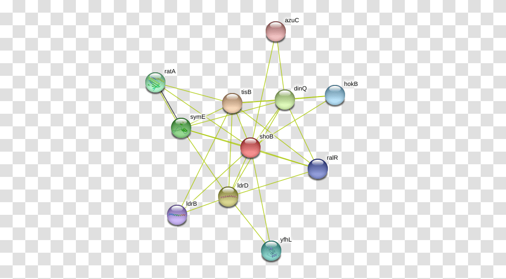 Shob Protein, Network, Diagram, Astronomy, Outer Space Transparent Png