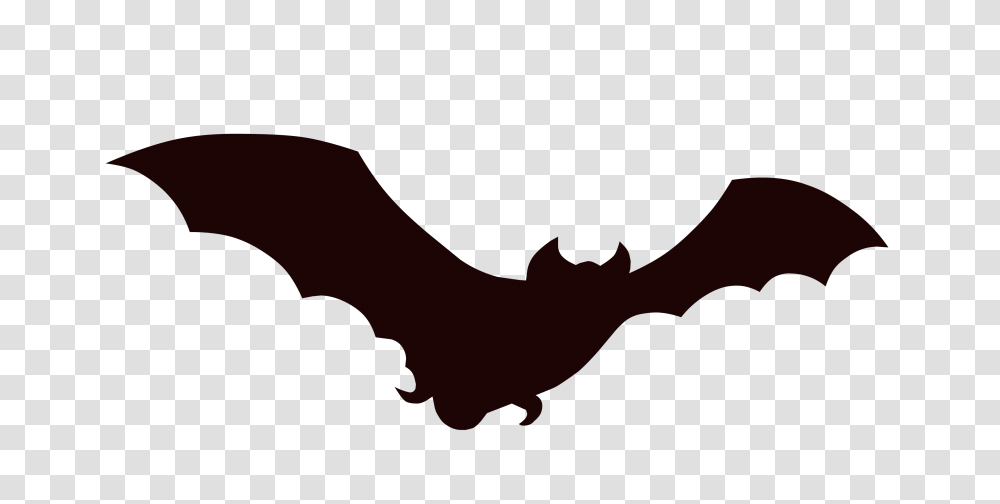 Shoe Graphic, Wildlife, Animal, Bat, Mammal Transparent Png